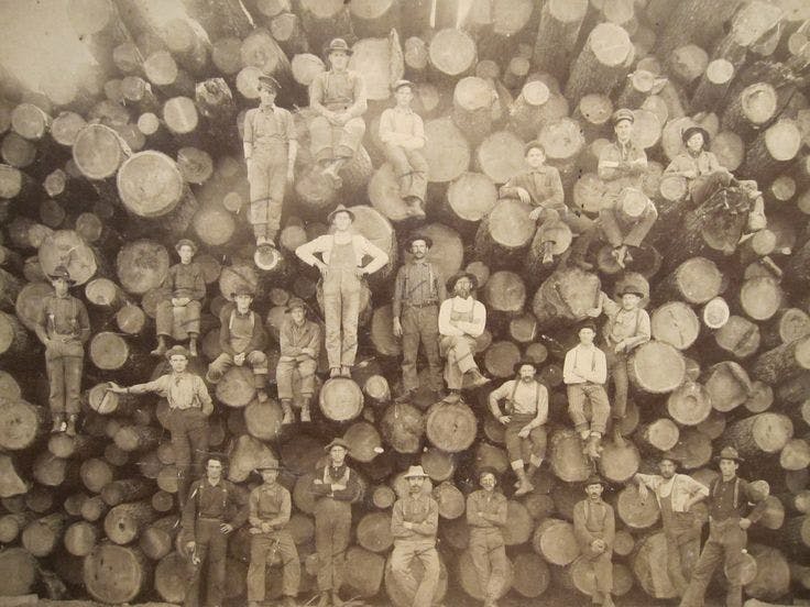 West End Firewood - Old Logging Photo