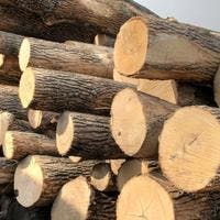West End Firewood Hard Wood Logs Seasoning.