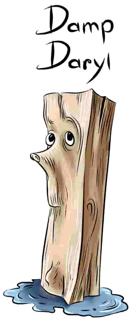 Introducing Damp Daryl - Part of the "Dirty Dozen" of bad firewood to avoid.