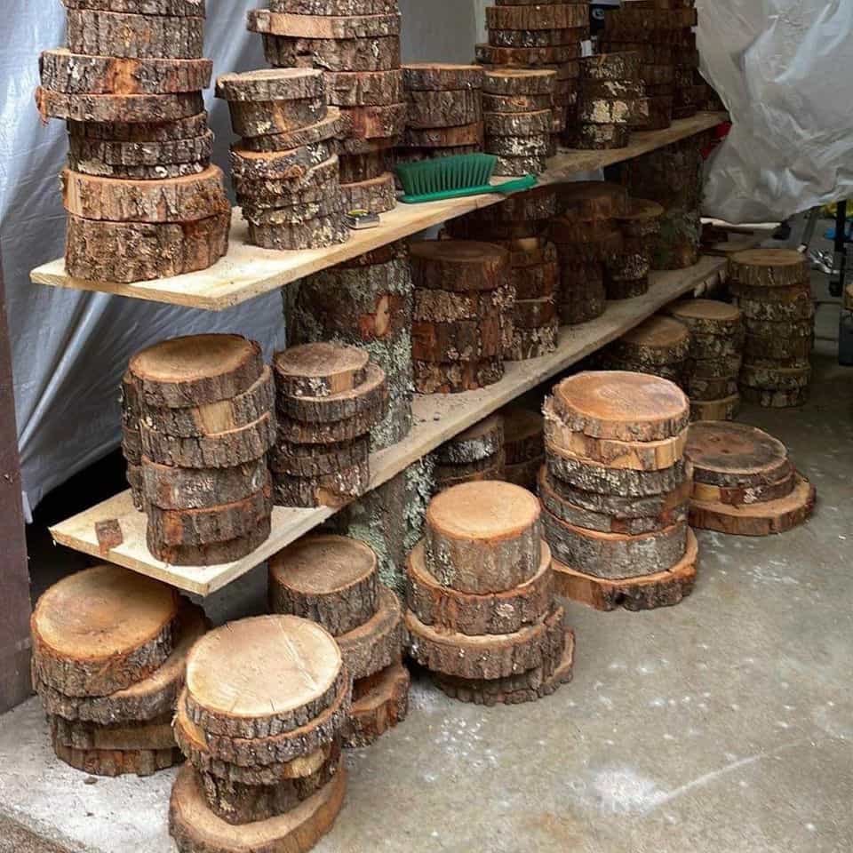 Wood Slices